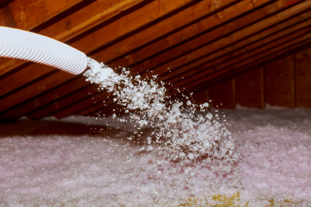 Types of Insulation We Offer in Apple Mountain Lake, VA