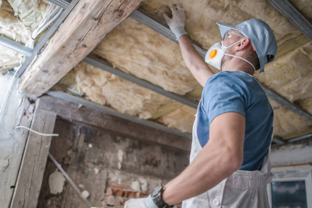 Best Energy Efficiency Insulation in Apple Mountain Lake, VA