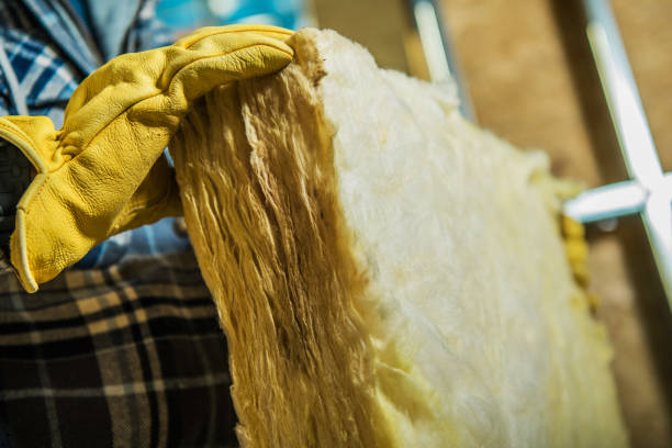 Best Eco-Friendly Insulation in Apple Mountain Lake, VA