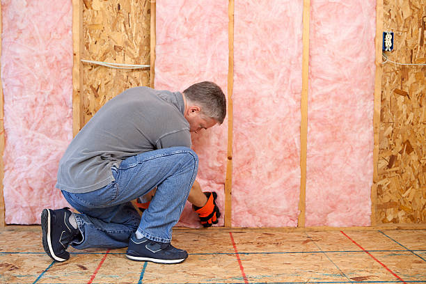 Apple Mountain Lake, VA Insulation Contractor Company